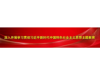 学习贯彻习近平新时代中国特色社会主义思想主题教育融媒体专题